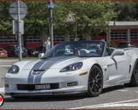 TSR Watermark - 0589